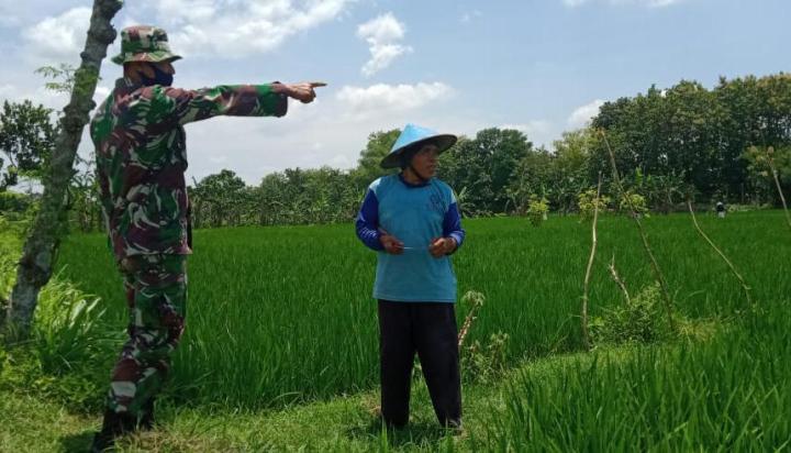 Bahas Ketahanan Pangan,  Satgas TMMD Bojonegoro Dampingi Petani Ngrancang